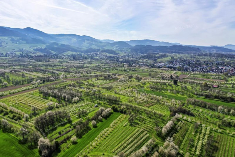 Spring in the Renchtal in the Ortenau