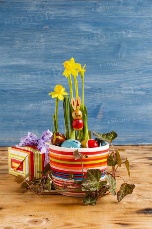Easter decoration with daffodils in a pot u