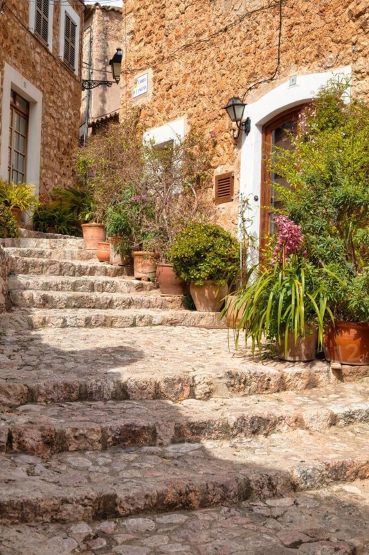Flower pots in alley with typical stone houses