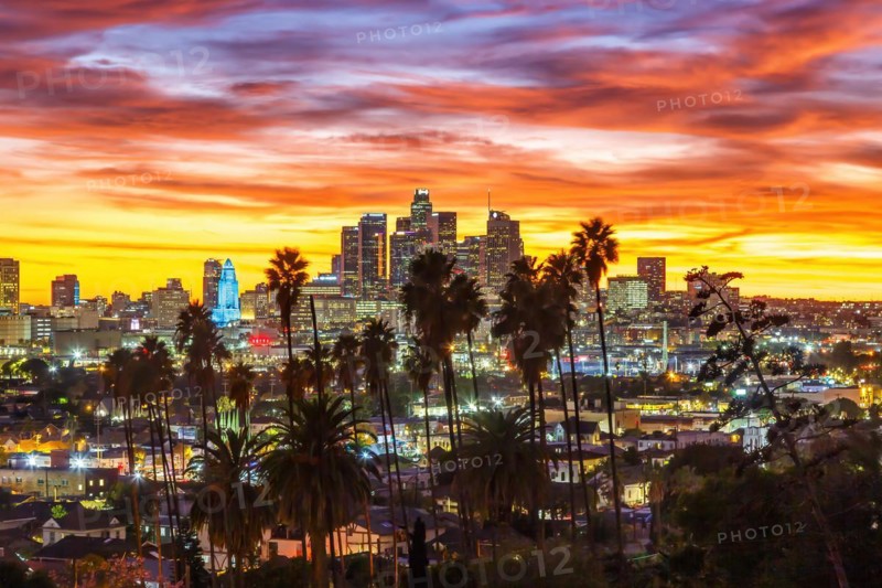 View of Downtown Los Angeles Skyline with Palm Trees at Sunset in California in Los Angeles