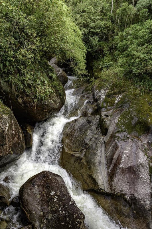 Small cascade between the rocks and the natural vegetation of the brazilian rainforest in Itatiaia