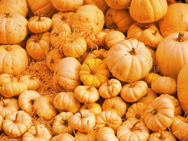 Pumpkin vegetarian food