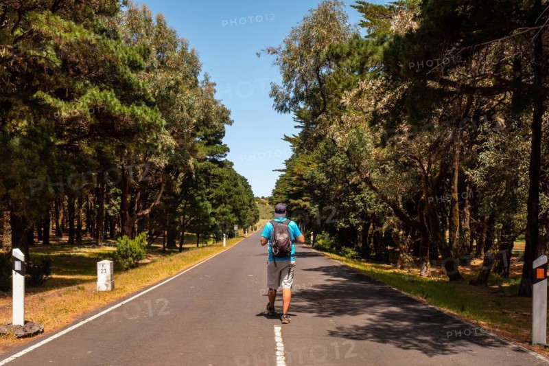 Mountaineer walking on the road in the trekking of La Llania in El Hierro