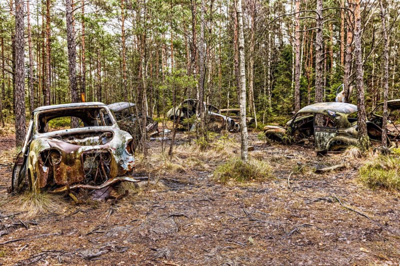 Car graveyard in the middle of the forest near Ryd