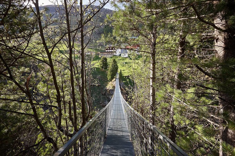 Suspension bridge