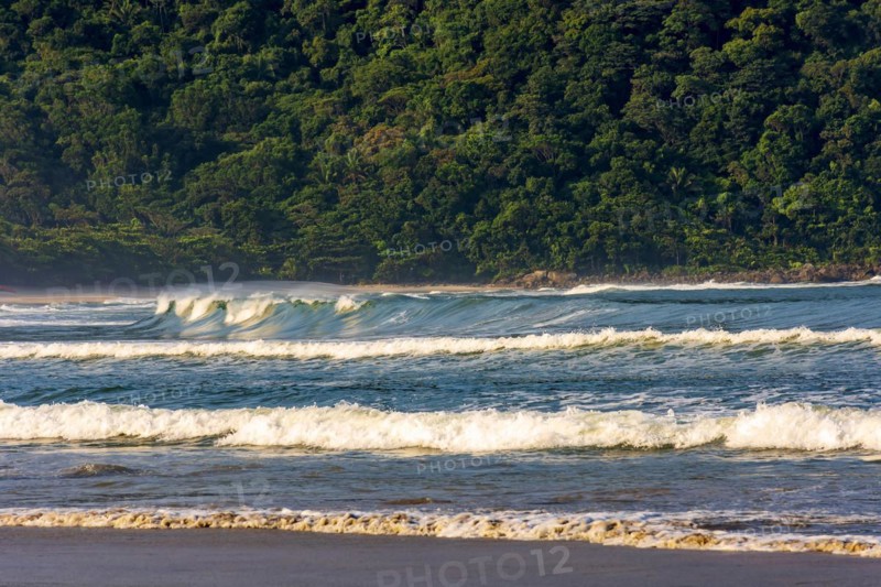 Untouched rainforest and hills behind the waves at desert Praia Branca