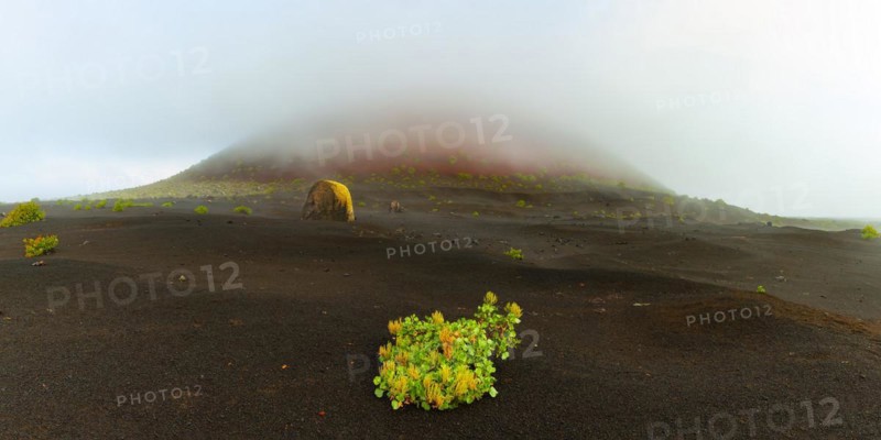 Canary Island amphora