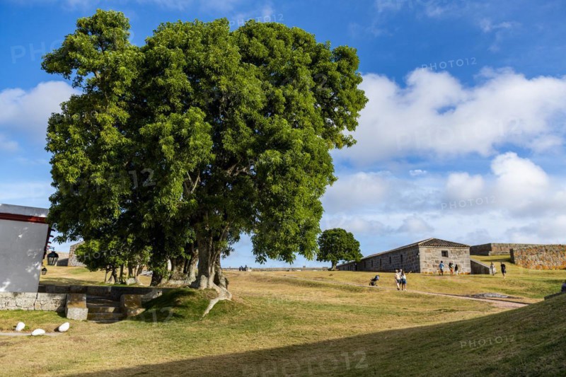Fort of Santa Teresa