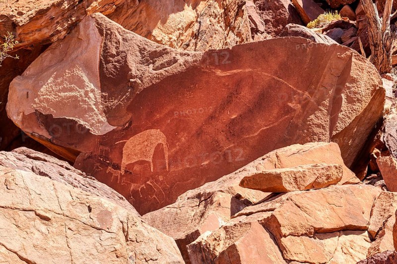 Rock engravings