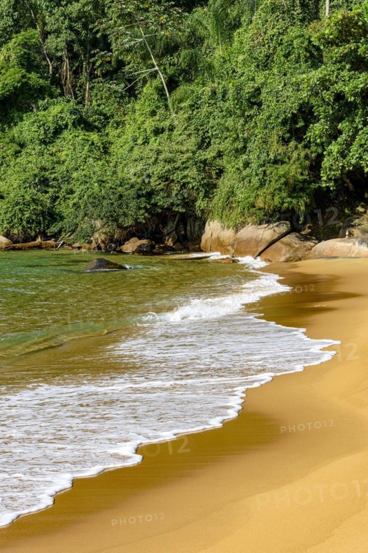 Paradisiacal and untouched beach of green and transparent waters surrounded by the forest in Ilha Grande