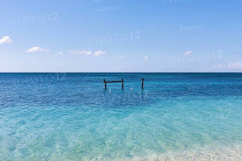 Sea