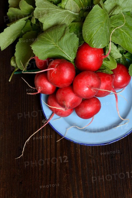 Radish