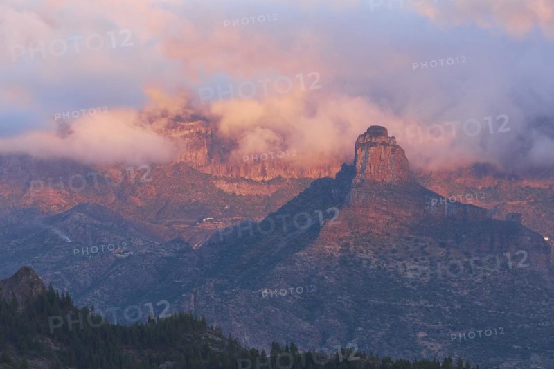 Pink evening light