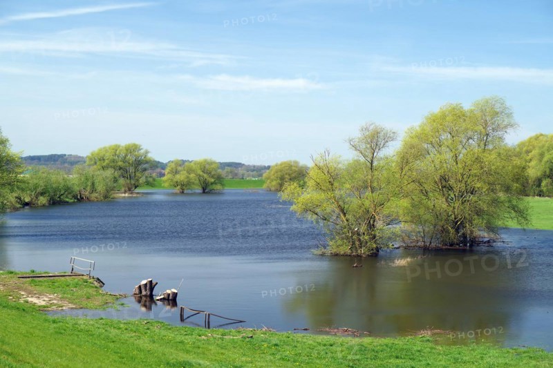 Flooded Elbe oxbow lakes in spring