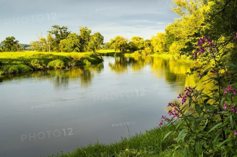 The river Regen in the evening at golden hour