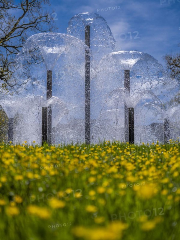 Fountain