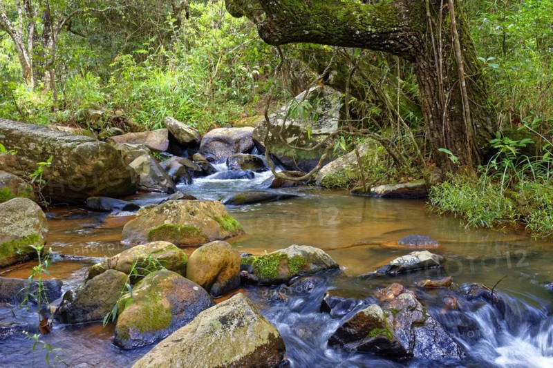 Small creek with clear waters running through the rocks of the mountains of Minas Gerais