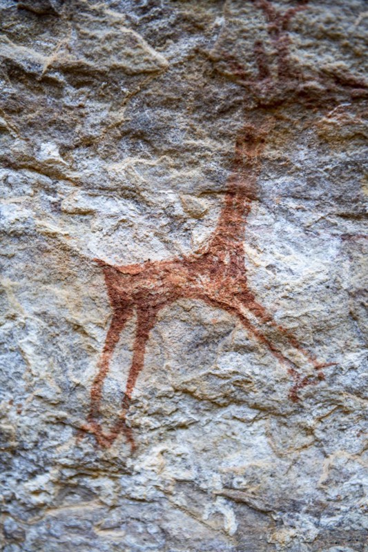 Rock art painting at Pedra Furada