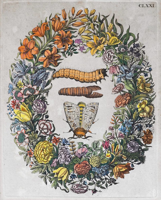 Flower wreath
