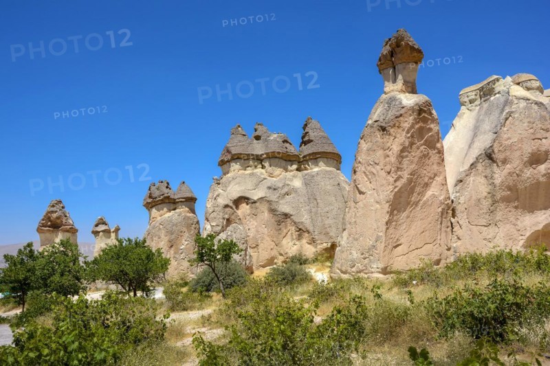 Typical and inhabited rock formations in the Cappadocia region of Turkey with blue sky and vegetation