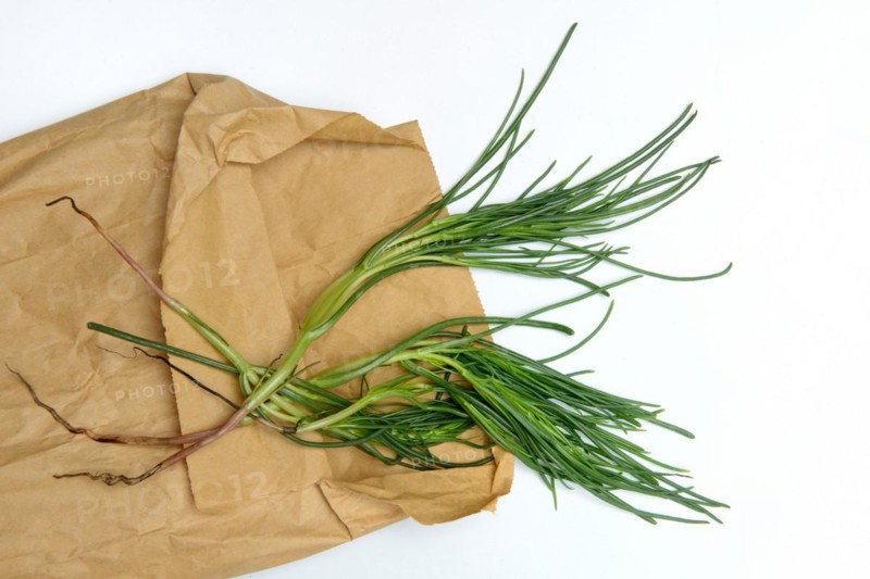 Monk's beard