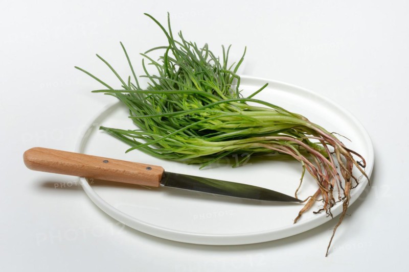 Monk's beard with knife on plate