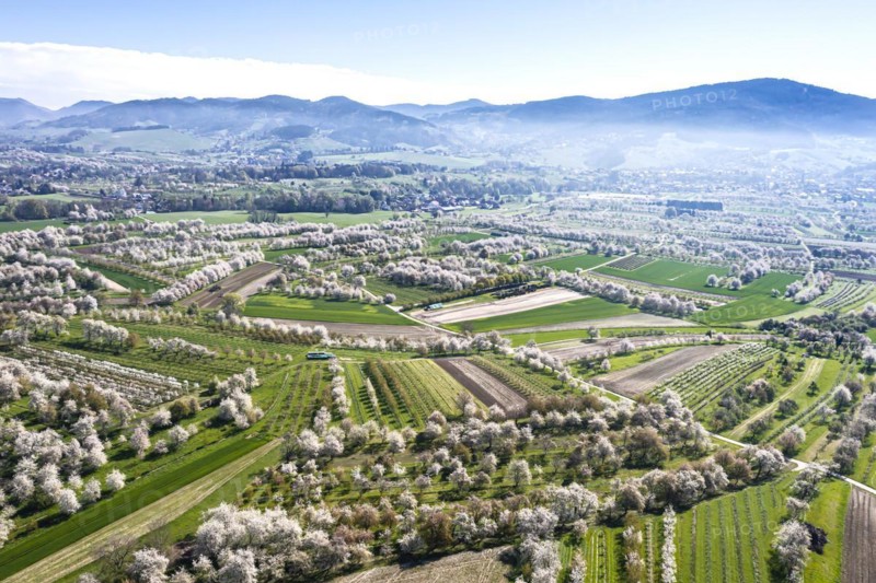 Spring in the Renchtal in the Ortenau