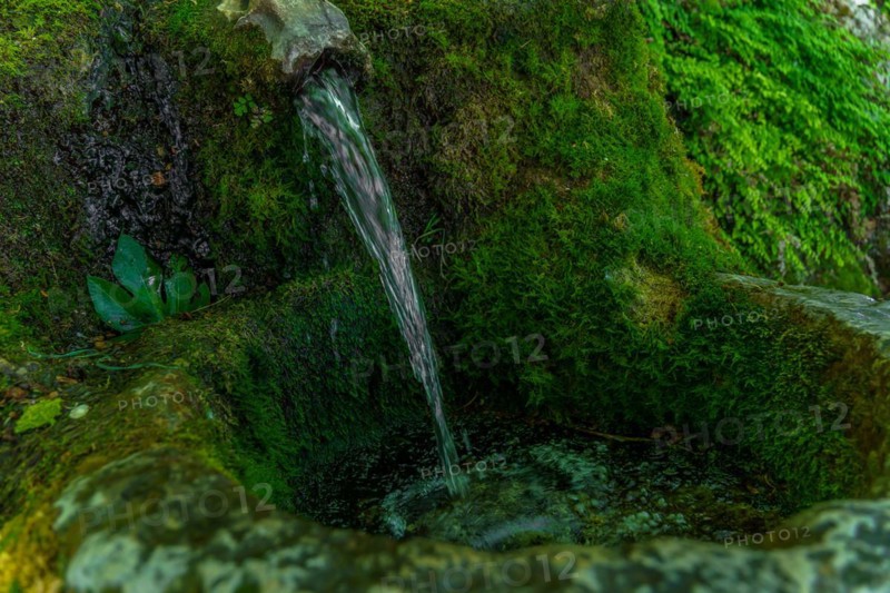 Spring of crystal clear