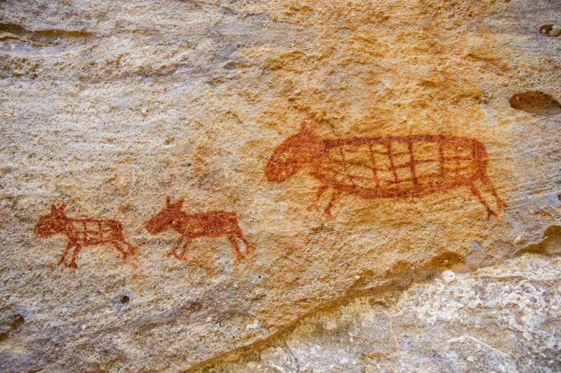 Rock art painting at Pedra Furada