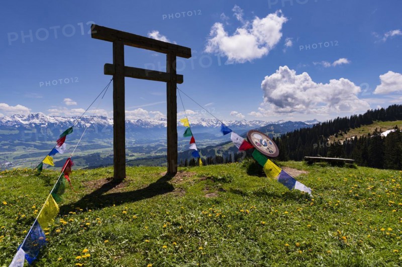 Torii on the Baerenkoepfle