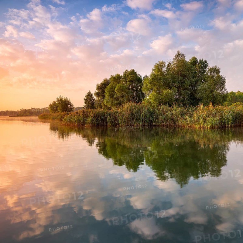 Clear calm lake with reed belt in the first morning light