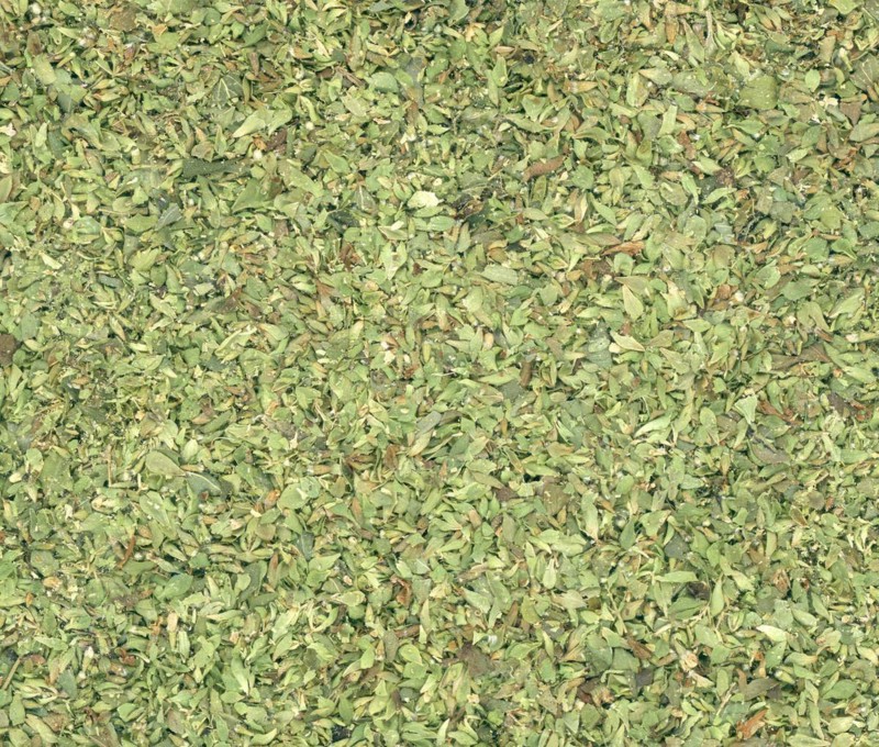 Oregano