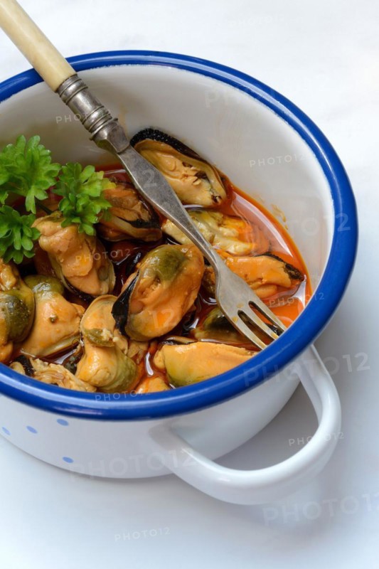 Blue mussel