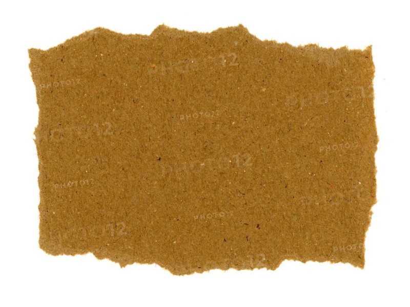 Brown tag label isolated over white