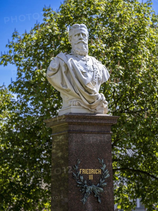 Marble bust