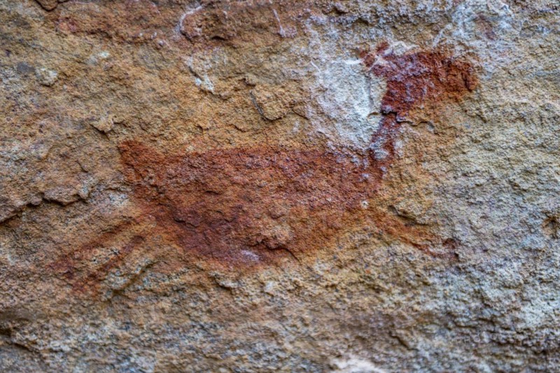 Rock art painting at Pedra Furada