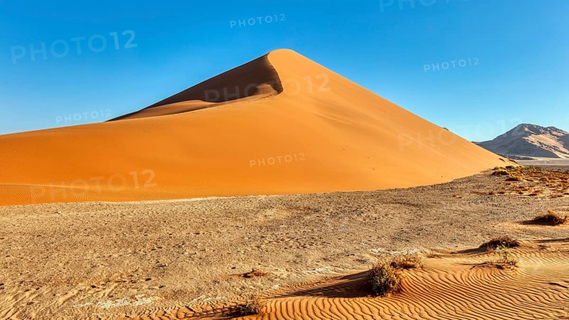 Dune 45