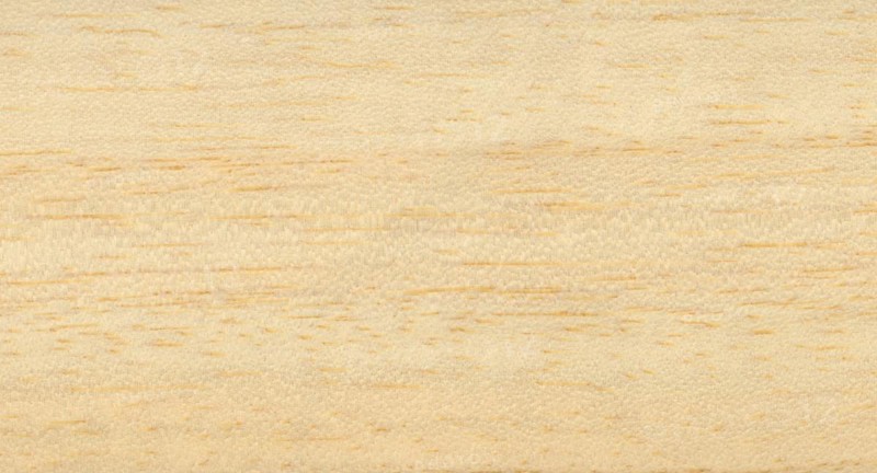 Light brown ayous samba wood texture background