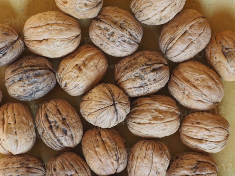 Walnut fruit food background