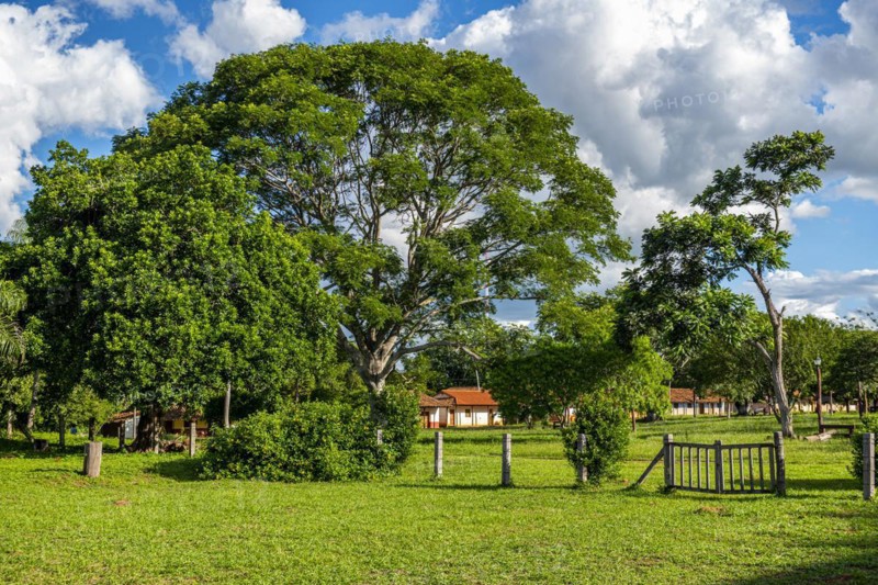 Church yard