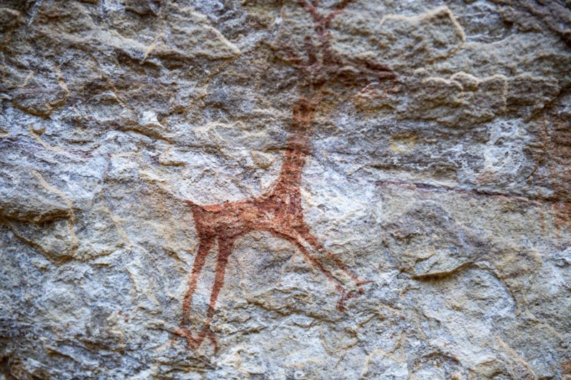 Rock art painting at Pedra Furada
