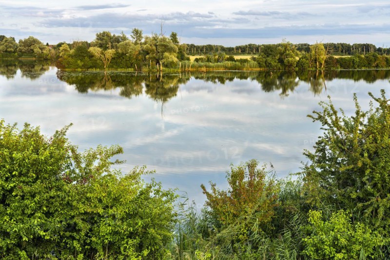 The nature reserve Gmuender Au and the river Alte Donau