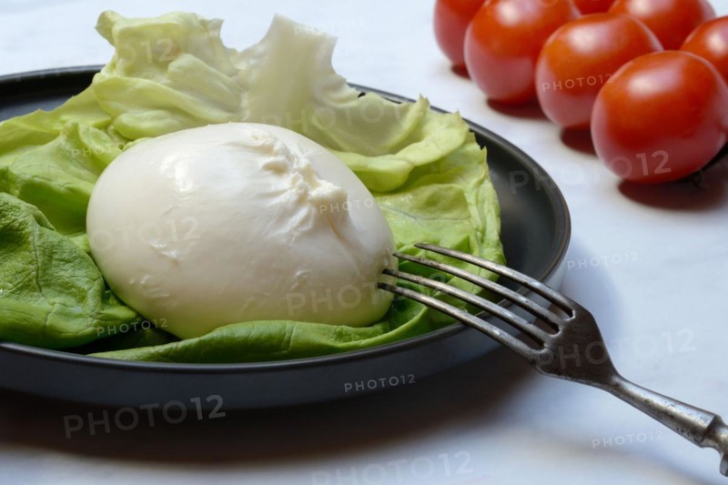 Burrata