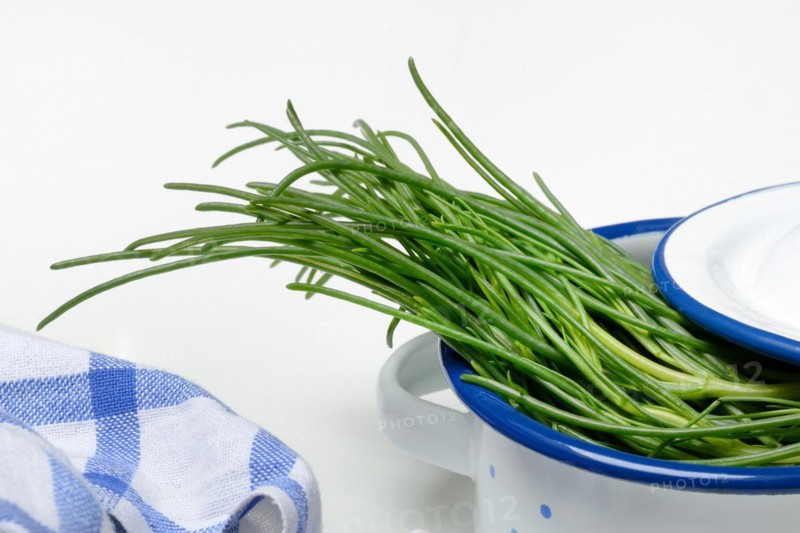 Monk's beard in pots
