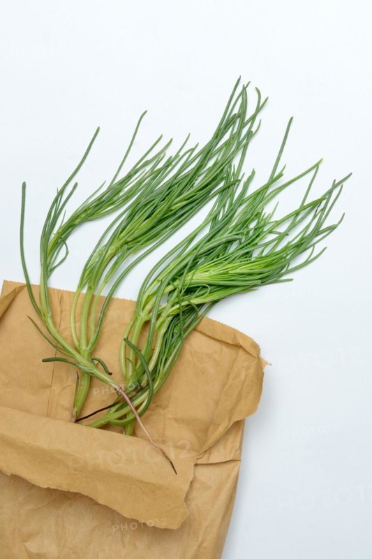 Monk's beard