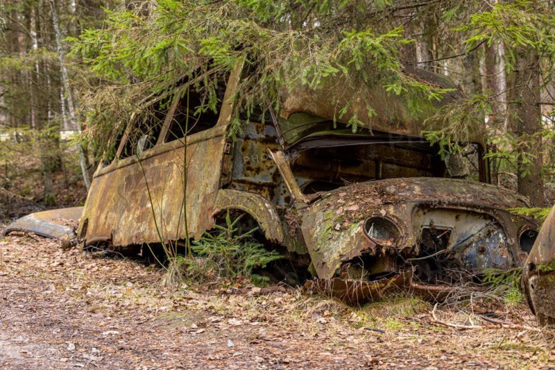 Car graveyard in the middle of the forest near Ryd
