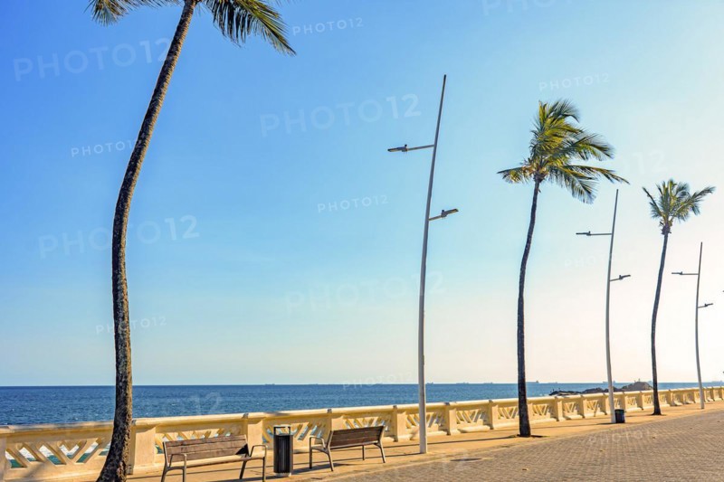 Wall of beautiful Oceanic Avenue in Salvador