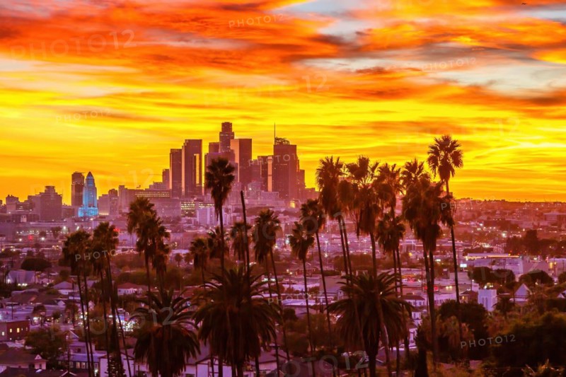 View of Downtown Los Angeles Skyline with Palm Trees at Sunset in California in Los Angeles