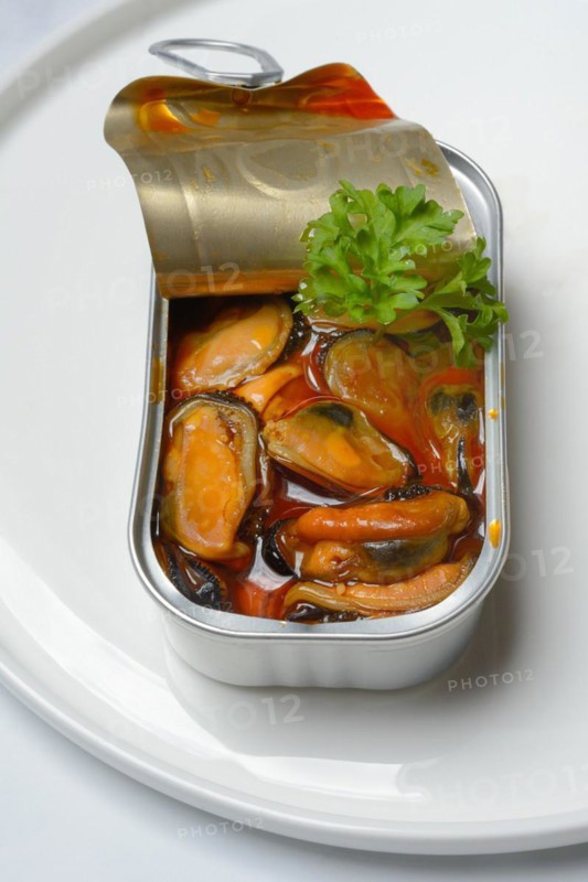 Mussels