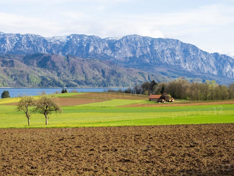 Agriculturally prepared field